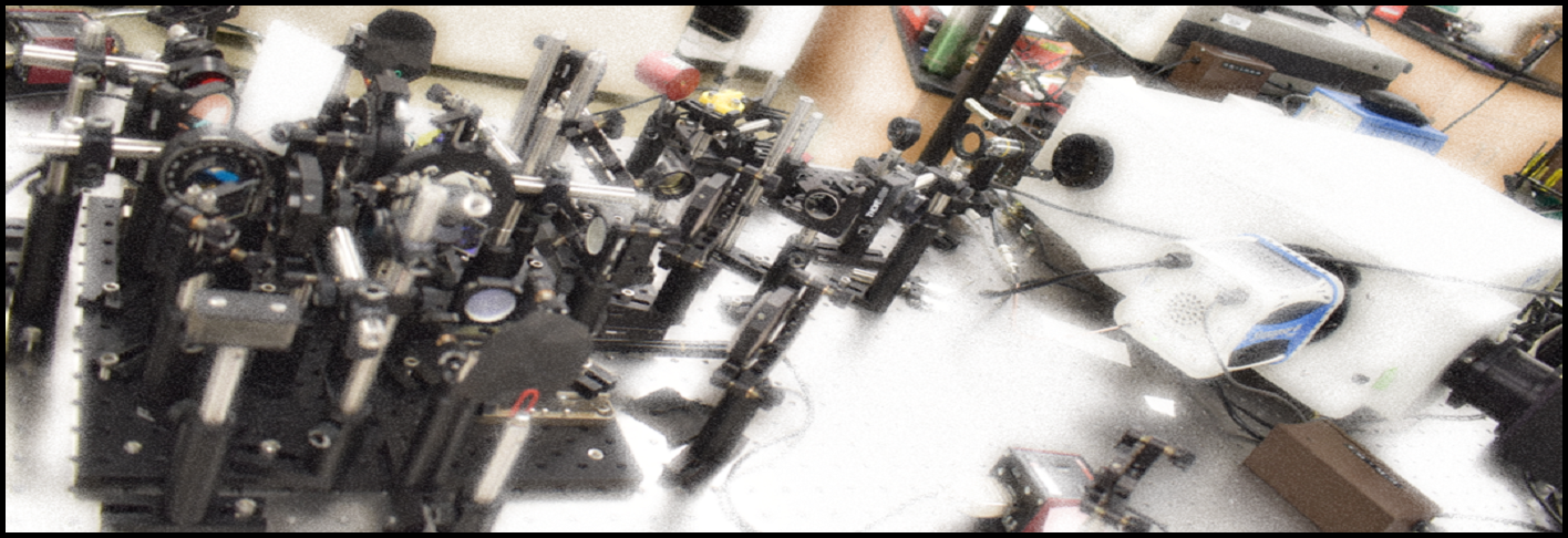 Bonggu Shim Lab, Binghamton University